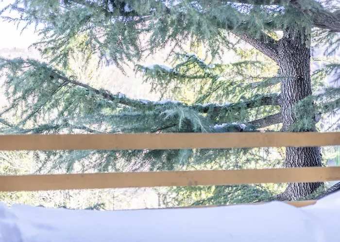 Apartment Panice Soprana - Alpine Terrace - Grandmaison