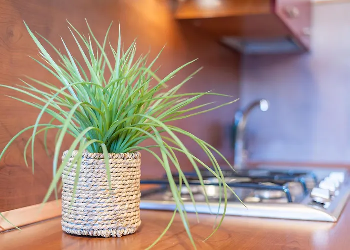 Panice Soprana - Alpine Terrace - Grandmaison