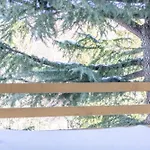 Apartment Panice Soprana - Alpine Terrace - Grandmaison