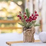 Panice Soprana - Alpine Terrace - Grandmaison アパート *